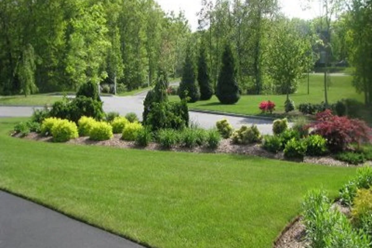 Recent Work 13 best landscaper near me 036