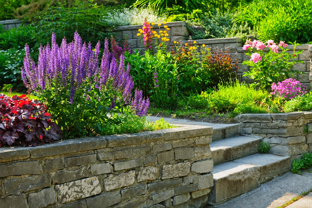 Recent Work 6 landscaping services near me 004